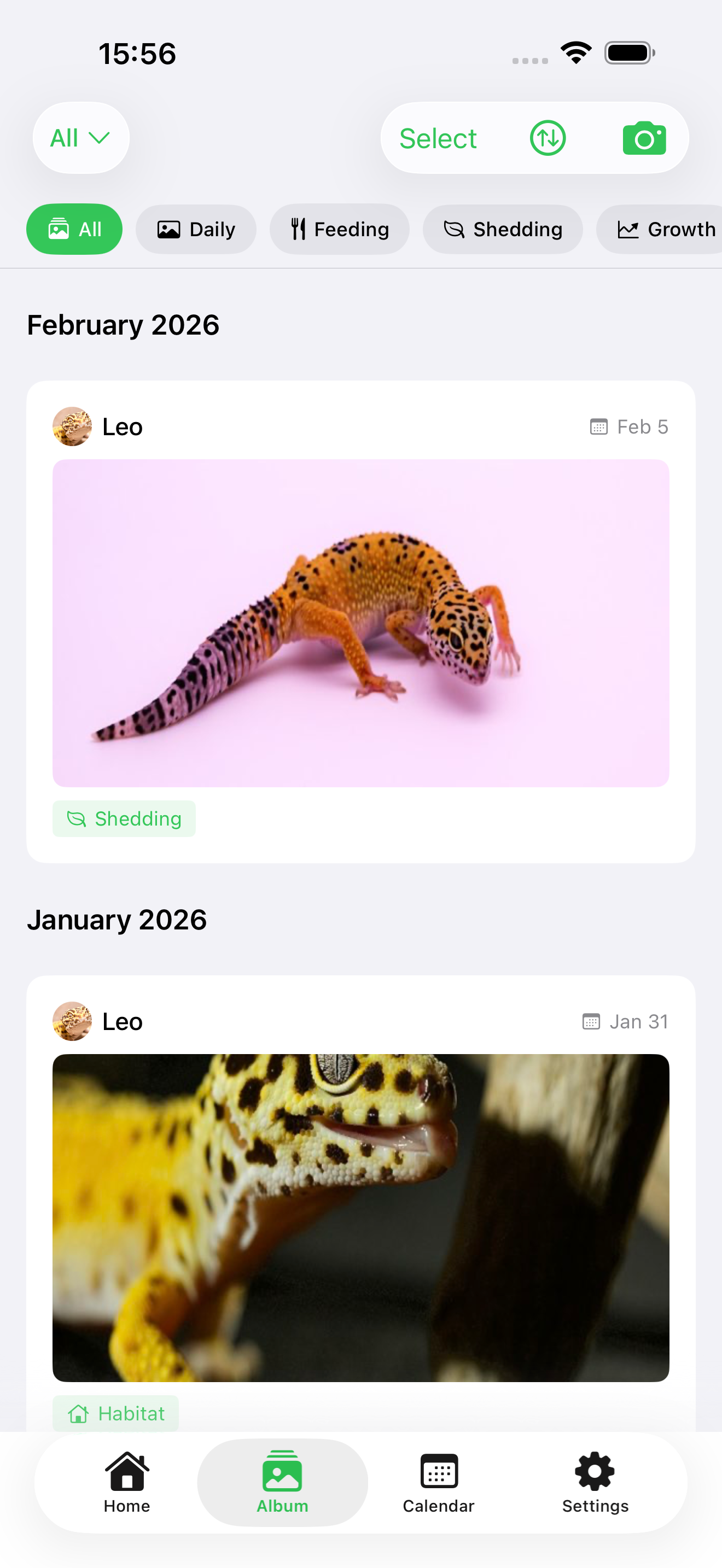 Photo Album