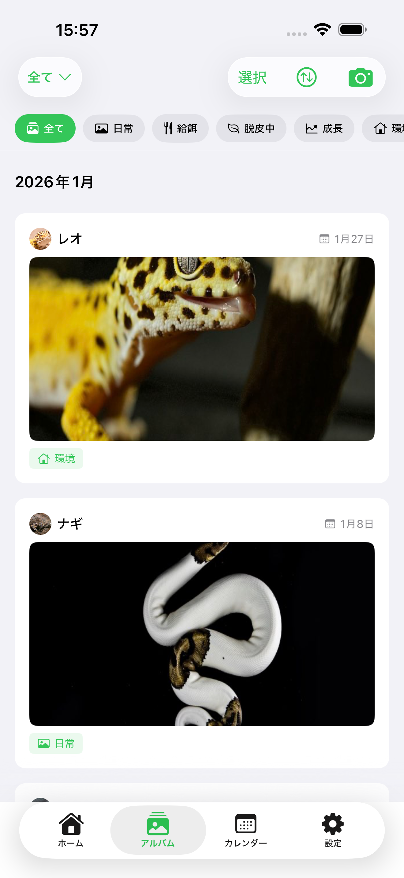 フォトアルバム