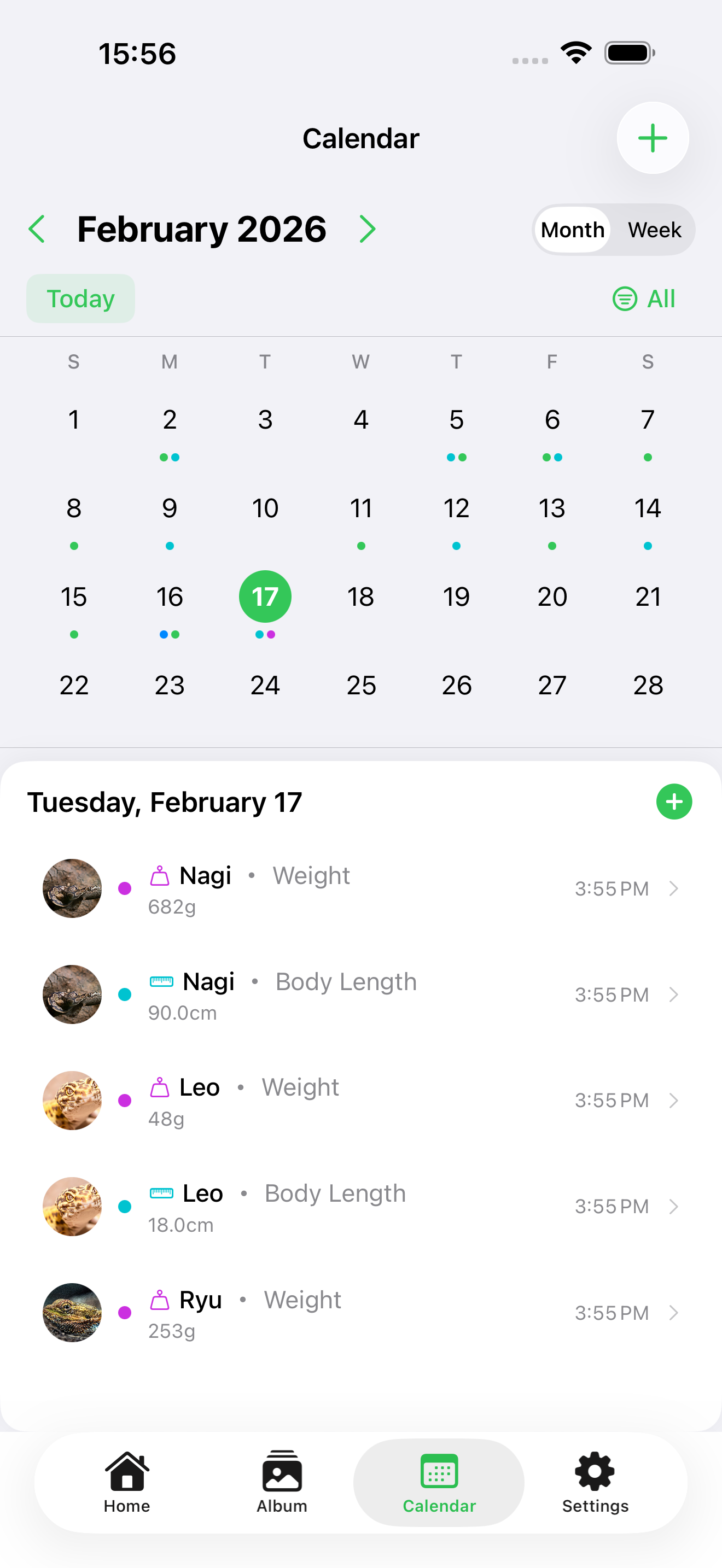 Calendar View